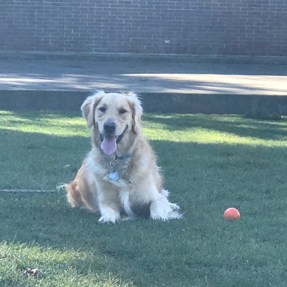 Meet your Posher, Catherine - Picture 1 of 1